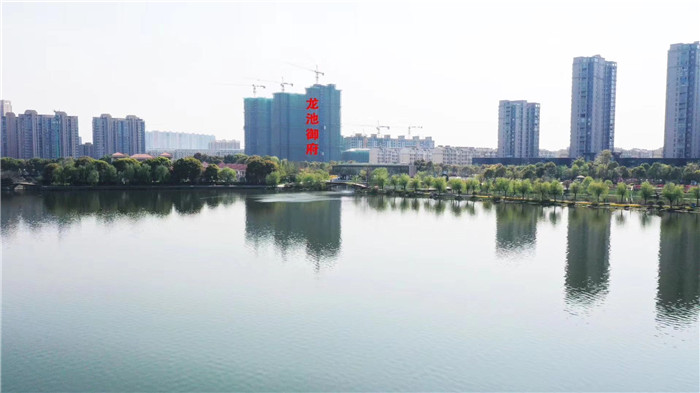 微信图片_20200228102612.jpg