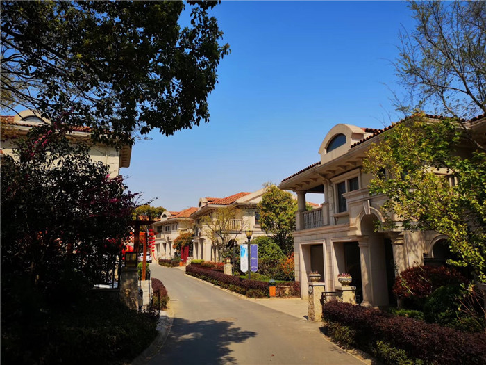 微信图片_20200103100011 - 副本.jpg