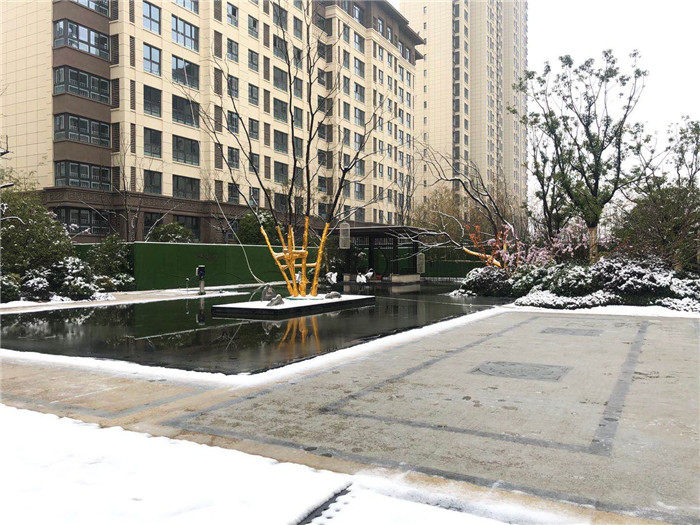 微信图片_20200228102539.jpg