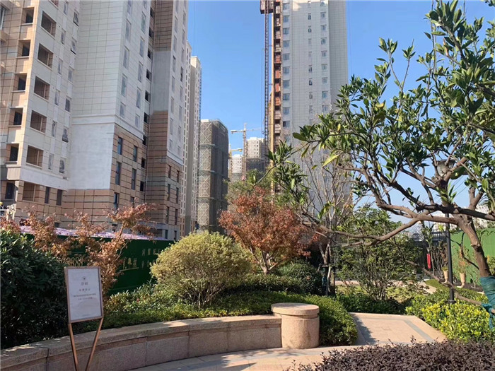 微信图片_20200109195818.jpg