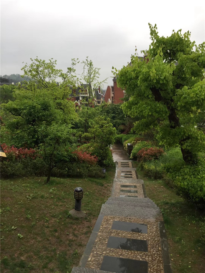 微信图片_20191229144547.jpg