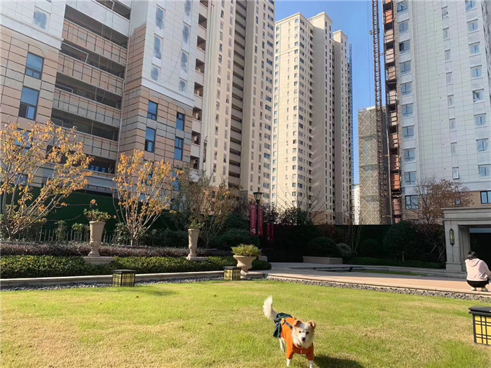 微信图片_20200109195840.jpg